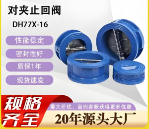 DH77X-16C/DN65蝶式止回阀（水处理区域用）