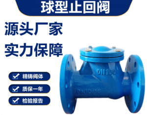 HQ41X-10Q DN50球墨铸铁滑道滚球式止回阀 微