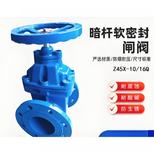 Z45X-10Q/16Q暗杆软密封闸阀 DN65球墨铸铁法